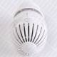 GIACOMINI R460 tête thermostatique radiateur chauffage central