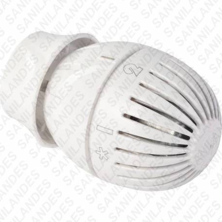 GIACOMINI R460 tête thermostatique radiateur chauffage central